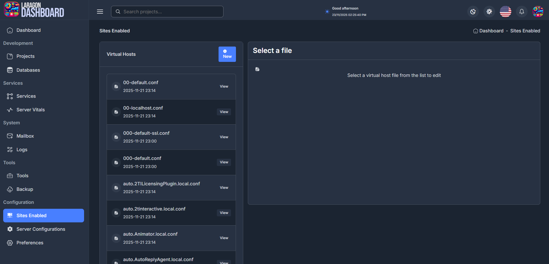 Laragon Dashboard 10